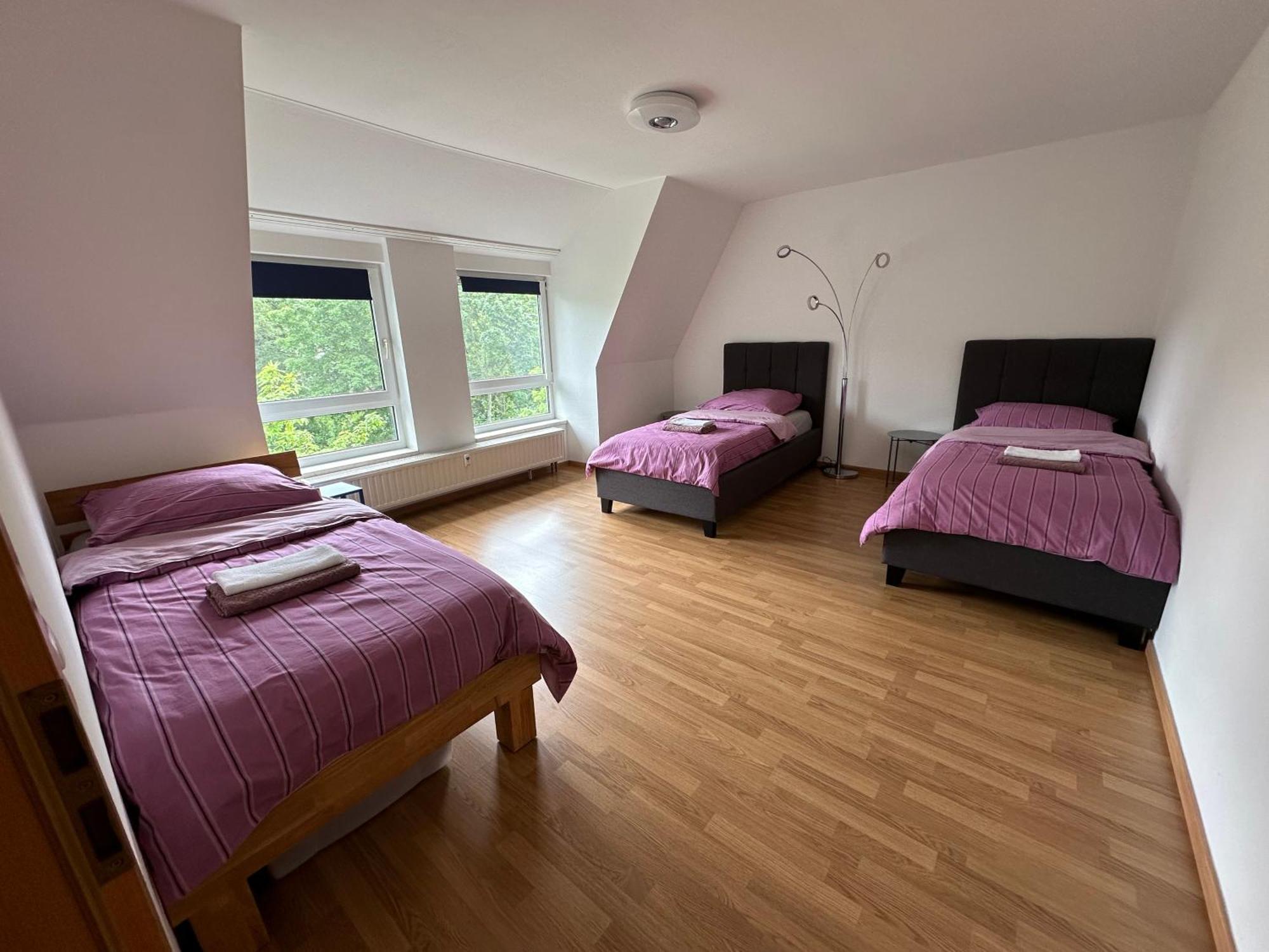 Grosses Apartment Im Dg Leipzig Ngoại thất bức ảnh